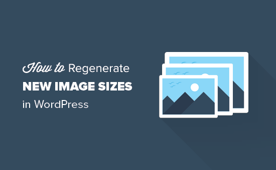 regenerate images 1 En İyi 10 WordPress Eklentisi