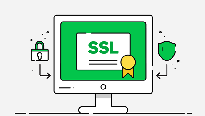SSL sertifikasi nedir1 Wildcard SSL sertifikası nedir?
