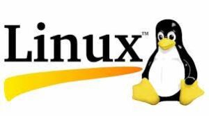 linx Linux Web Server Yönetiminde En Çok Kullanılan Shell Komutları