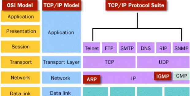 tcp ip protokoller TCP/IP Nedir?